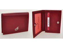 6291 V-RED  858�.jpg