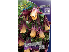 112���. ��������� ���� ������� ���(�������� ���� �� 1 ��., ����������� ����� 1��.).jpg