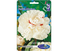 ������� �������.jpg