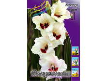 11,48���. ��������� ����������(���������� ������ ������ ���������� �� 8 ��.).jpg