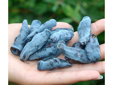 192���. ��������� ���������� ���� ��������.jpg