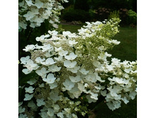 137���. ��������� ����������� ����.jpg