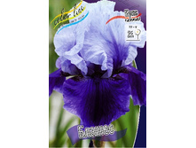 95,3���. ���� ���������� ������(�������� ���� �� 2 ��., ����������� ����� 1��.).jpg