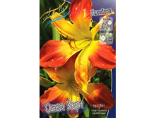 163,4���. �������� ���� ����(�������� ���� �� 1 ��., ����������� ����� 1��.).jpg