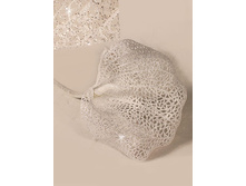 11/0280P ����� ��