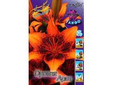 39,64���. ����� ����� ���(�������� ���� �� 5 ��., ����������� ����� 1��.).jpg