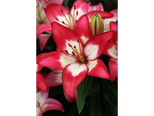 24,44���. ����� ������� ����(�������� ���� �� 5 ��., ����������� ����� 1��.)���15.jpg