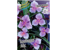 65,15���. ������������ �������� ���(�������� ���� �� 2 ��., ����������� ����� 1��.).jpg