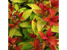 122���. ������ �������� ���������.jpg