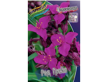 65,15���. ������������ ��� �����(�������� ���� �� 2 ��., ����������� ����� 1��.).jpg