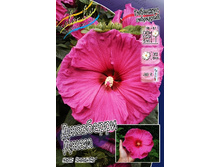 229,8���. �������� ��������� ��������� ���� SUMMERIFIC-(�������� ���� �� 1 ��., ����������� ����� 1��.).jpg