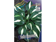 196,6���. ����� ���� ������(�������� ���� �� 1 ��., ����������� ����� 1��.).jpg