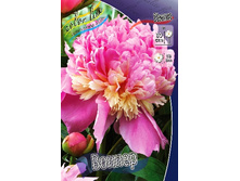 287,8���. ���� ������(�������� ���� �� 1 ��., ����������� ����� 1��.).jpg