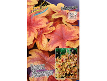 271,2���. ���������� ����� �������(�������� ���� �� 1 ��., ����������� ����� 1��.).jpg