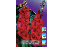 8,18���. ��������� �������(���������� ������ ������ ���������� �� 8 ��.).jpg