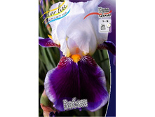 95,3���. ���� ���������� �����(�������� ���� �� 2 ��., ����������� ����� 1��.).jpg