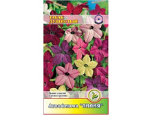 ����� �������� ����� ����������	0,25	8,00 ���.