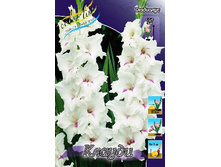 8,18���. ��������� ������(���������� ������ ������ ���������� �� 8 ��.).jpg