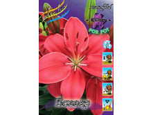 21,9���. ����� ������(�������� ���� �� 7 ��., ����������� ����� 1��.).jpg