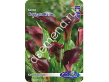 ������� ����.jpg