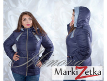 ������ 2630 ����