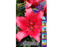 18,44���. ����� ������(���������� �� ����� �������� �� 7��.).jpg