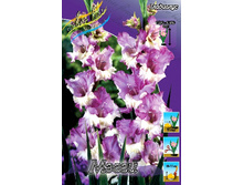 10,18���. ��������� �����(���������� ������ ������ ���������� �� 9 ��.).jpg