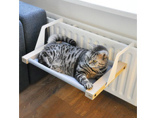 ����������� ...