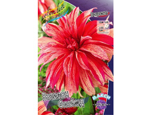 82���. �������� ������� ������(�������� ���� �� 1 ��., ����������� ����� 1��.).jpg