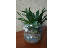 ������� �����.jpg