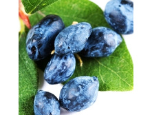 192���. ��������� ���������� �������.jpg