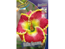 213,2���. �������� ���� ������(�������� ���� �� 1 ��., ����������� ����� 1��.).jpg