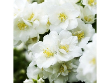 139���. �������� ��� �����.jpg