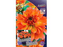 94���. �������� ������� ������(�������� ���� �� 1 ��., ����������� ����� 1��.)���14.jpg