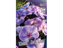 106,6���. ����� ����- ��� ���(�������� ���� �� 2 ��., ����������� ����� 1��.).jpg