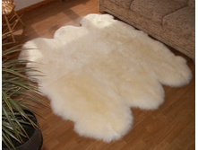 ����� 6 ���� ����� 9800�.jpg