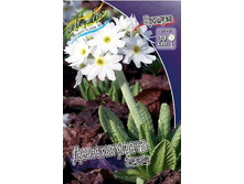 65,15���. ������� ����������� �����(�������� ���� �� 2 ��., ����������� ����� 1��.).jpg