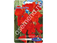 ����� �� ���.jpg