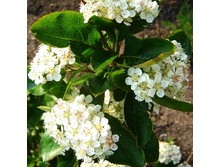 147���. ������ ������������ ����.jpg