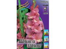 9,16���. ��������� ���� � ����(���������� ������ ������ ���������� �� 7 ��.).jpg