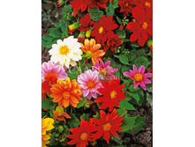 �������� ������ ������ ����� ����� 20�� 8.jpg