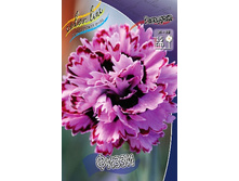 83,4���. �������� �����(�������� ���� �� 2 ��., ����������� ����� 1��.).jpg