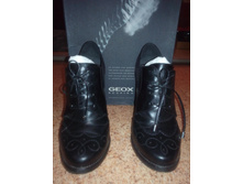 �����, ���.����, 40 �.