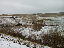 IMG 20151024 120557.jpg