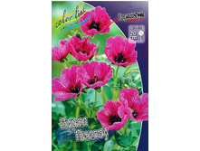 163,4���. �������� ����� ������(�������� ���� �� 1 ��., ����������� ����� 1��.).jpg