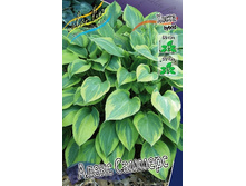 171,7���. ����� ����� �������(�������� ���� �� 1 ��., ����������� ����� 1��.).jpg