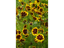 ��������� ������� 0,2�� 8.jpg