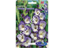 ������ �����.jpg