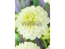 94���. �������� ����� ������(�������� ���� �� 1 ��., ����������� ����� 1��.)���16.jpg