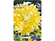 ���� ���.jpg